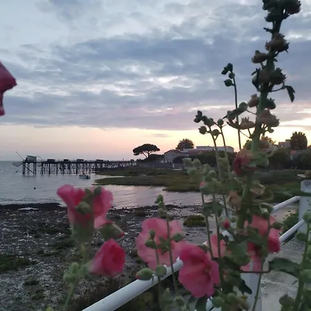 Holiday home Rose Pompon *