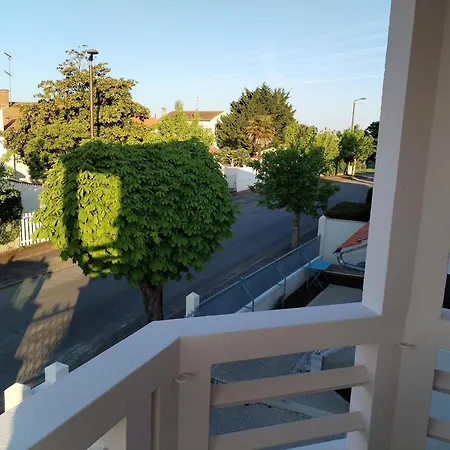 Rose Pompon * Fouras