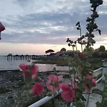 Holiday home Rose Pompon *