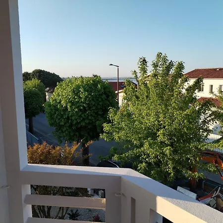 Rose Pompon Dom wakacyjny *