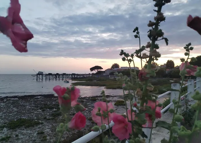 בית נופש Rose Pompon *