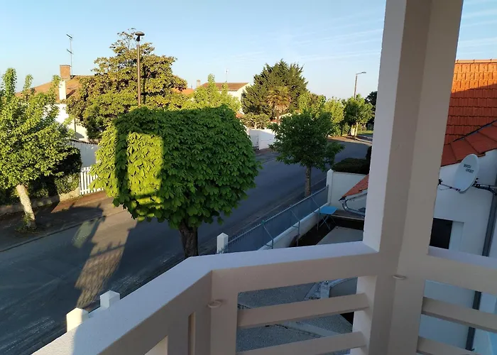 Rose Pompon * פוראס