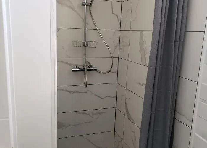 Rose Pompon * פוראס